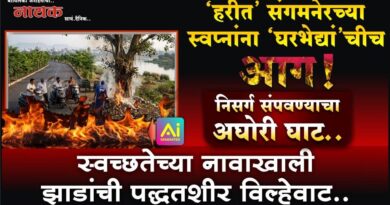 ‘हरीत’ संगमनेरच्या स्वप्नांना ‘घरभेद्यां’चीच आग! निसर्ग संपवण्याचा अघोरी घाट; स्वच्छतेच्या नावाखाली झाडांची पद्धतशीर विल्हेवाट..
