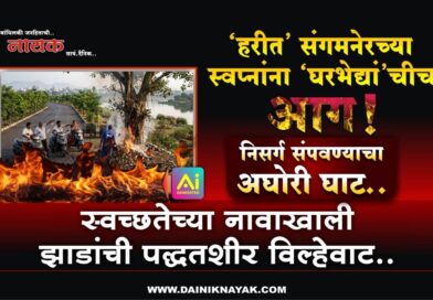 ‘हरीत’ संगमनेरच्या स्वप्नांना ‘घरभेद्यां’चीच आग! निसर्ग संपवण्याचा अघोरी घाट; स्वच्छतेच्या नावाखाली झाडांची पद्धतशीर विल्हेवाट..