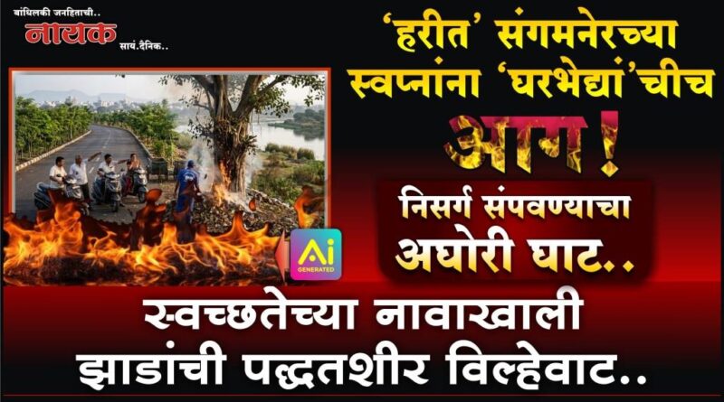 ‘हरीत’ संगमनेरच्या स्वप्नांना ‘घरभेद्यां’चीच आग! निसर्ग संपवण्याचा अघोरी घाट; स्वच्छतेच्या नावाखाली झाडांची पद्धतशीर विल्हेवाट..