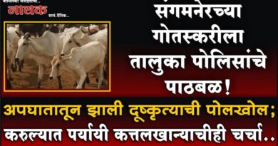 संगमनेरच्या गोतस्करीला तालुका पोलिसांचे पाठबळ! अपघातातून झाली दूष्कृत्याची पोलखोल; करुल्यात पर्यायी कत्तलखान्याचीही चर्चा..