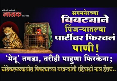 संगमनेरच्या बिबट्याने पिंजर्‍यातल्या पार्टीवर फिरवलं पाणी! ‘मेनू’ तगडा, तरीही पाहुणा फिरकेना; घोडेकरमळ्यातील बिबट्याच्या नखर्‍यांनी रहिवाशी मात्र हैराण..