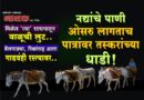नद्यांचे पाणी ओसरु लागताच पात्रांवर तस्करांच्या धाडी! मिळेल ‘त्या’ साधनातून वाळूची लुट; बैलगाड्या, रिक्षांसह आता गाढवंही रस्त्यावर..